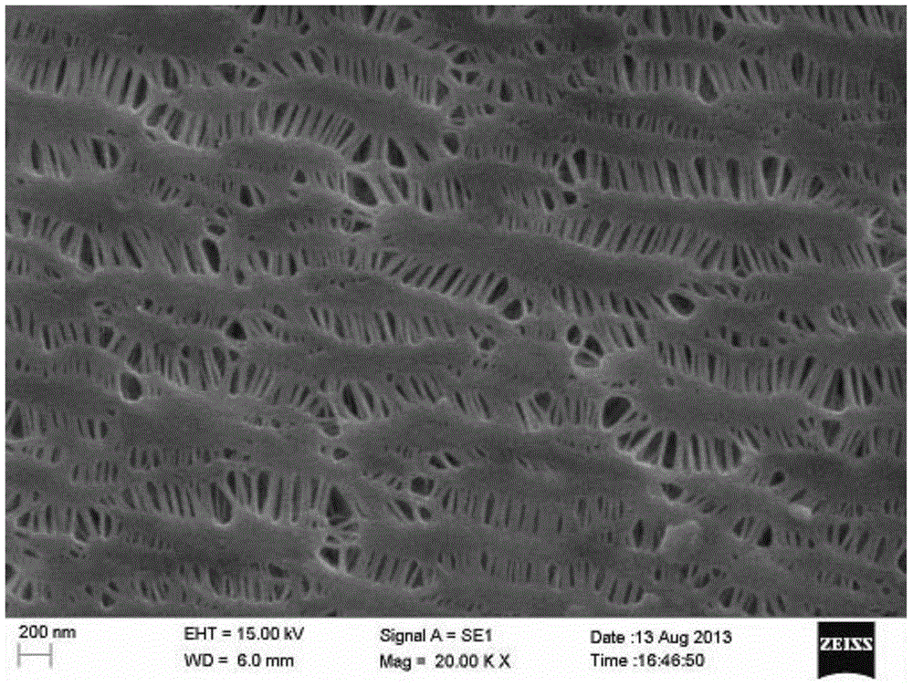 A kind of preparation method of microporous diaphragm and microporous diaphragm