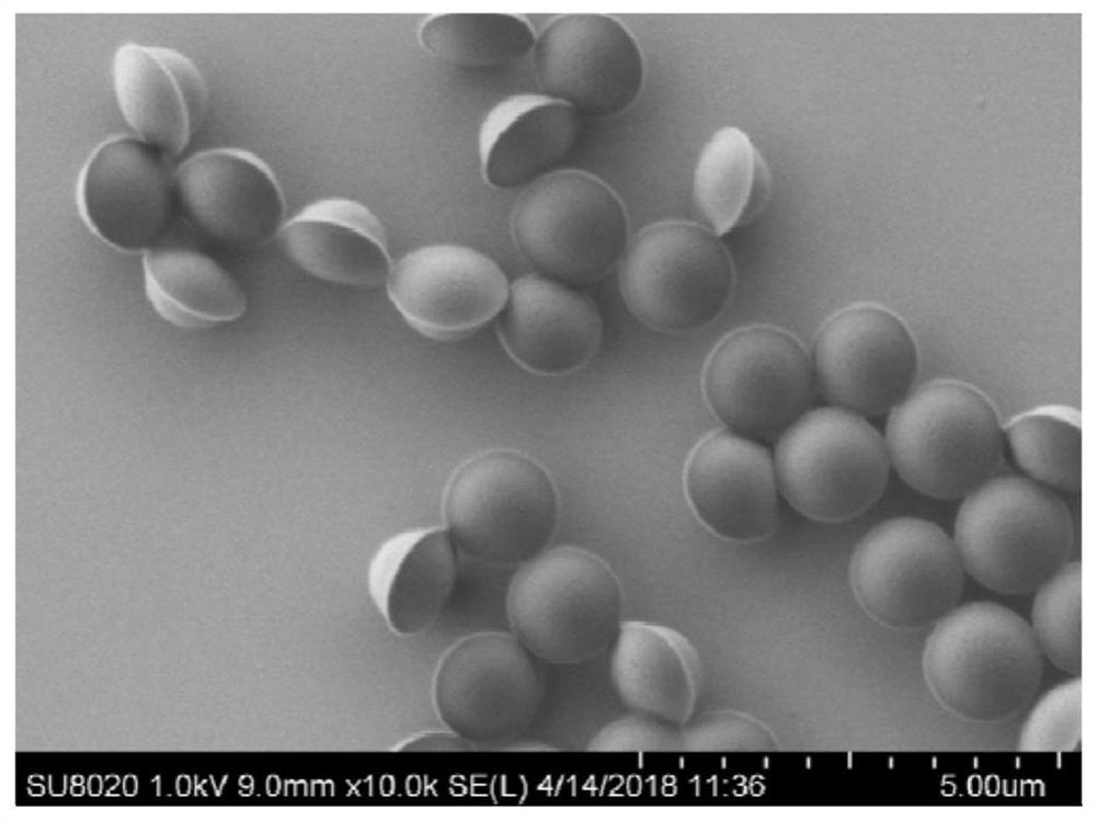 A method for preparing a large number of uniform non-spherical janus particles