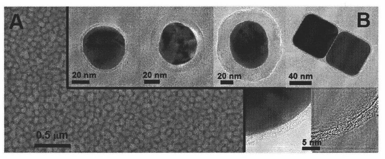 Method for enhancing Raman spectrum by using shell isolated nano particles