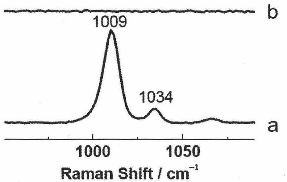 Method for enhancing Raman spectrum by using shell isolated nano particles