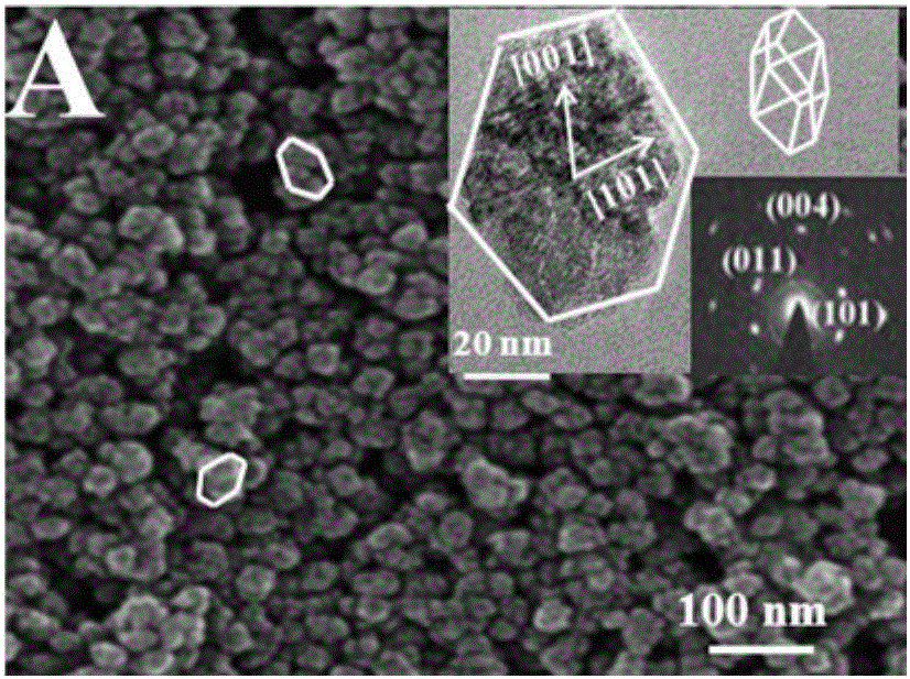 Silicon phthalocyanine functionalized TiO2 mesocrystal based aflatoxin photoelectrochemical detection method