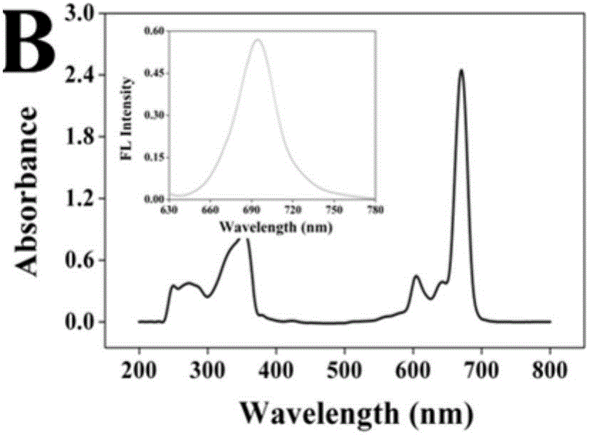 Silicon phthalocyanine functionalized TiO2 mesocrystal based aflatoxin photoelectrochemical detection method