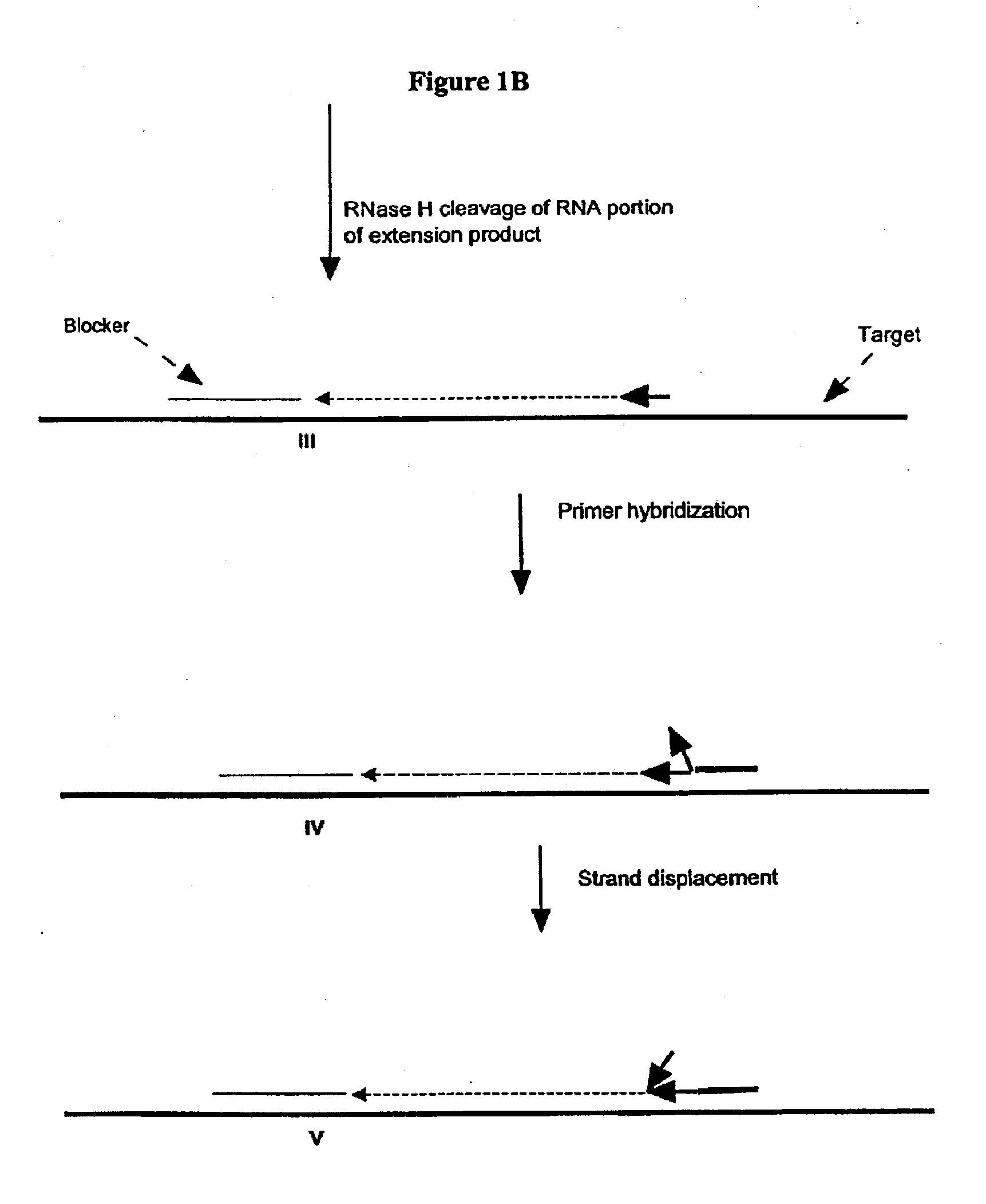 Methods And Compositions For Transcription-Based Nucleic Acid Amplification