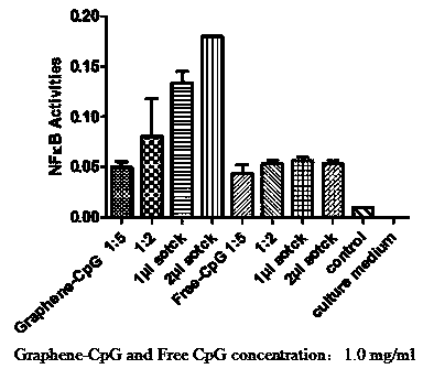 Preparation method and application of graphene-CpG