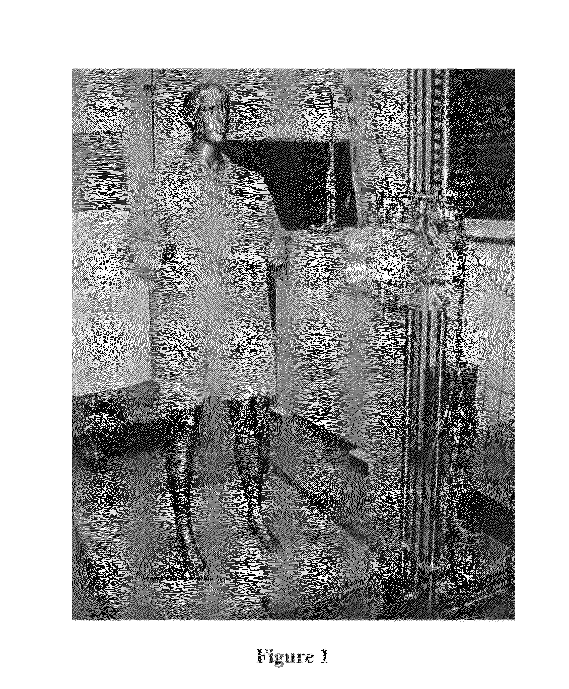 Holographic arrays for multi-path imaging artifact reduction