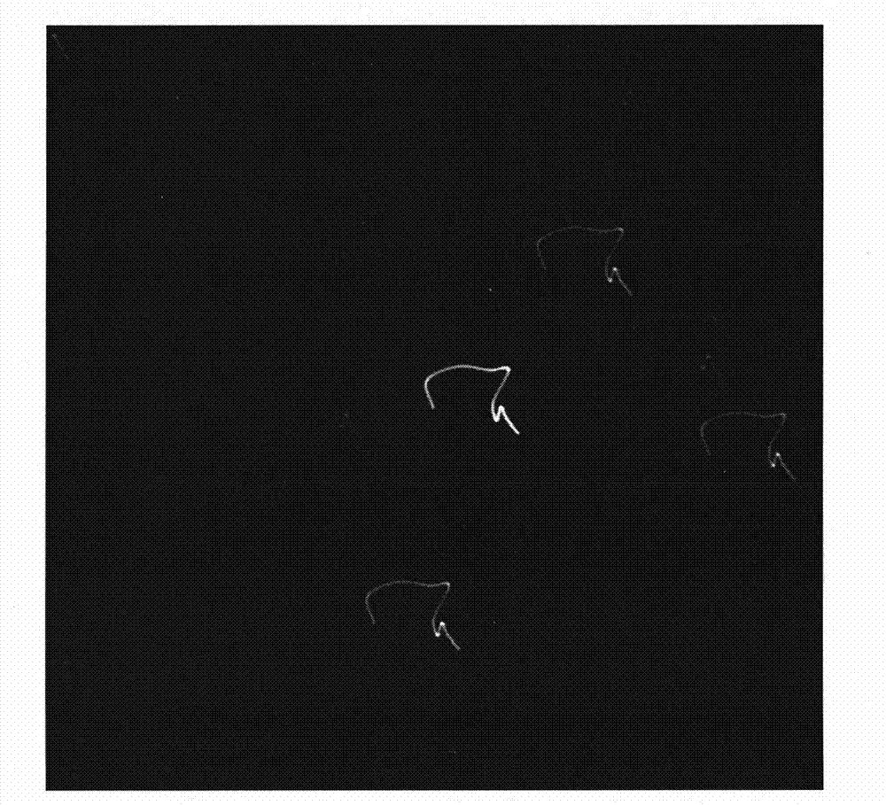 Simulation checking method for deep-space optical navigation image processing algorithm