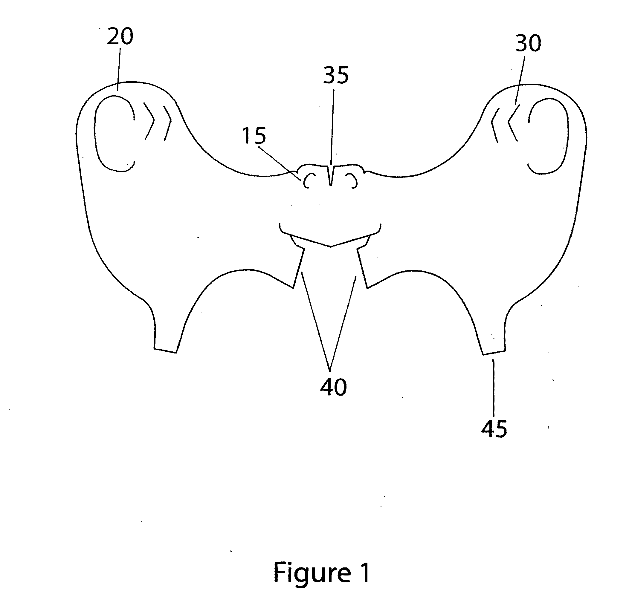 Flexible face mask apparatus