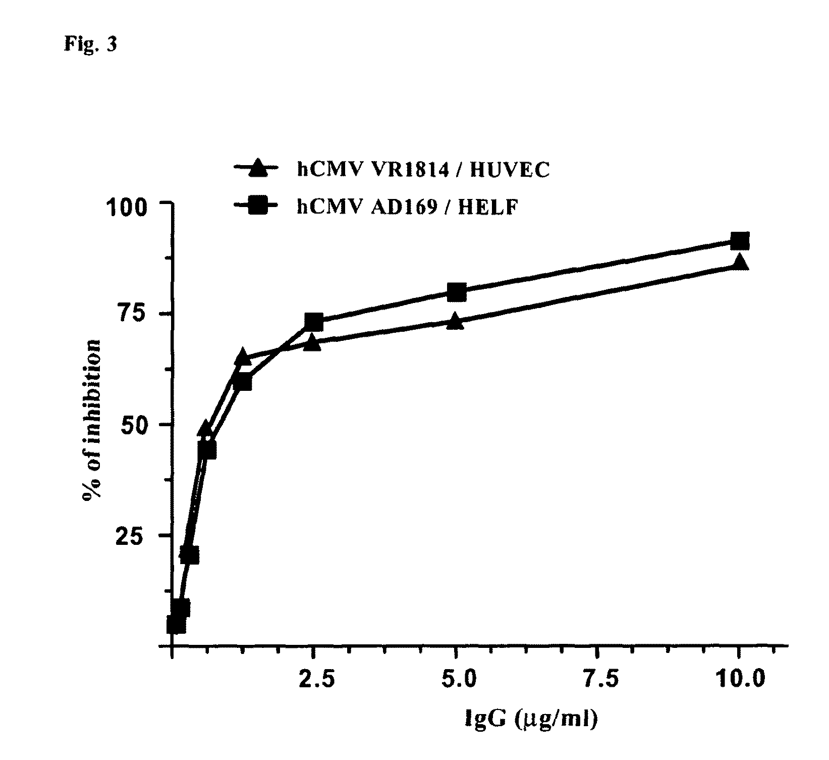 Antibodies against human cytimegalovirus (HCMV)