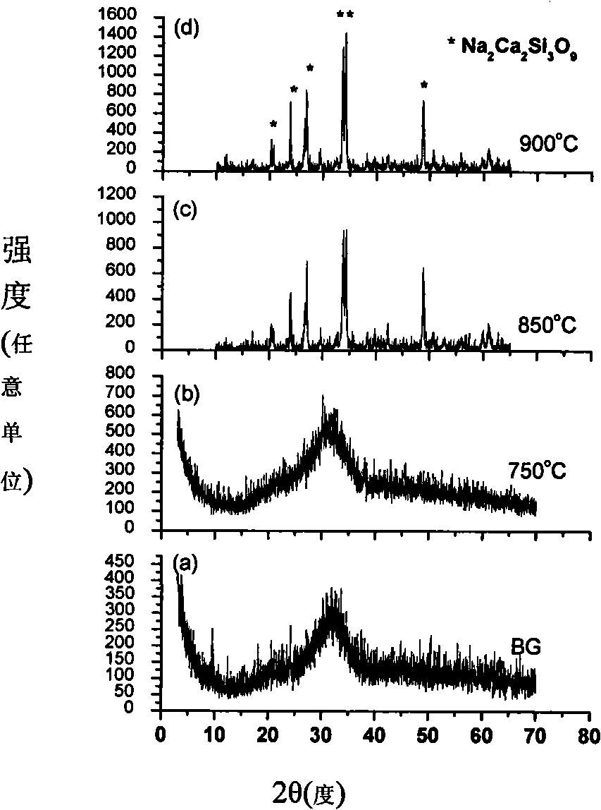 Degradable dynamics enhancement type bioglass radical porous composite material and preparation method thereof