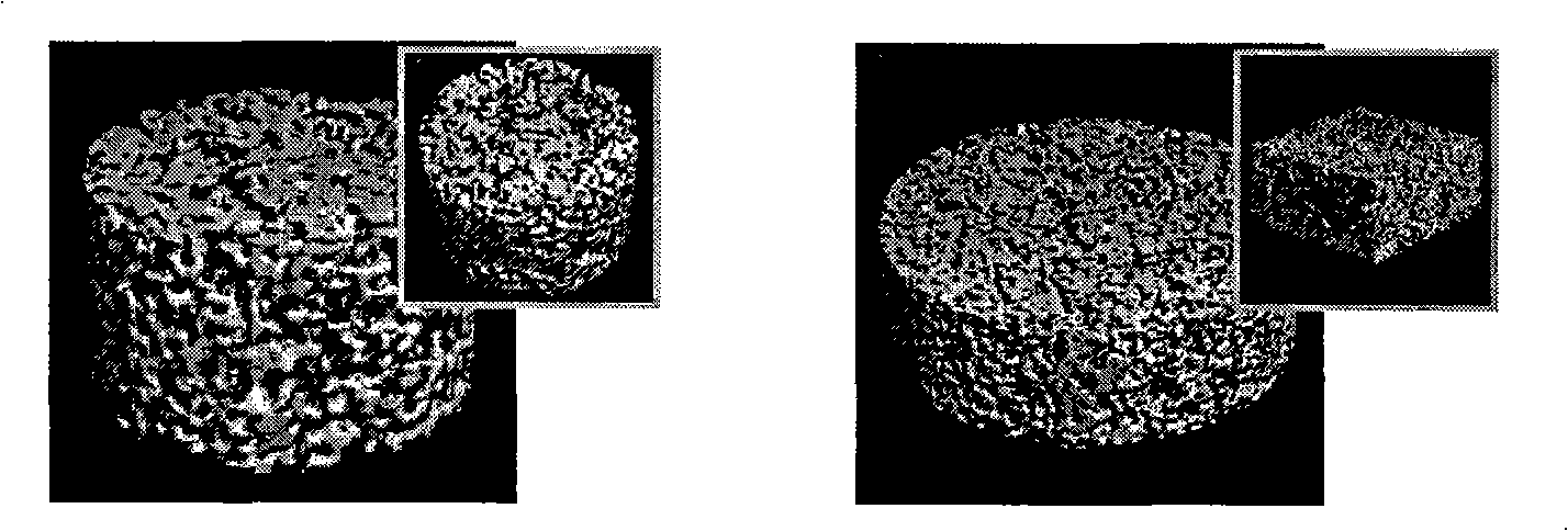 Degradable dynamics enhancement type bioglass radical porous composite material and preparation method thereof