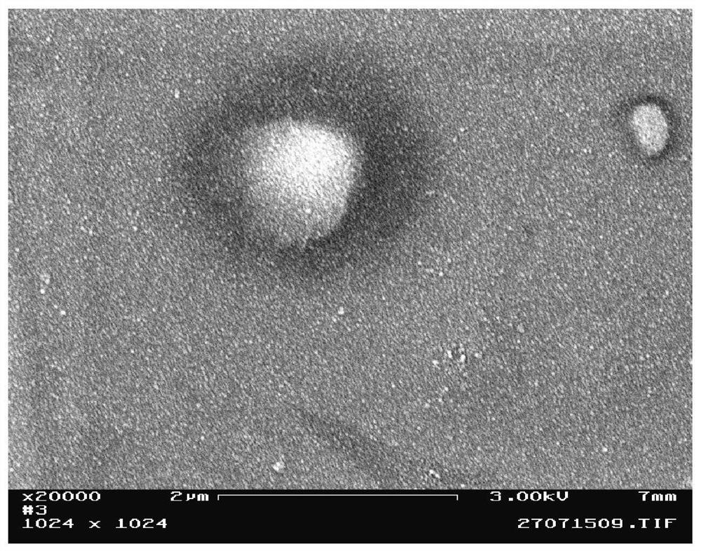 A kind of method for preparing porous nano-copper structure