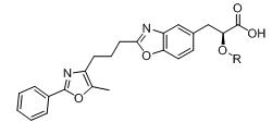 3-ketone-6-substituted-benzofuran compound as well as preparation method and application thereof