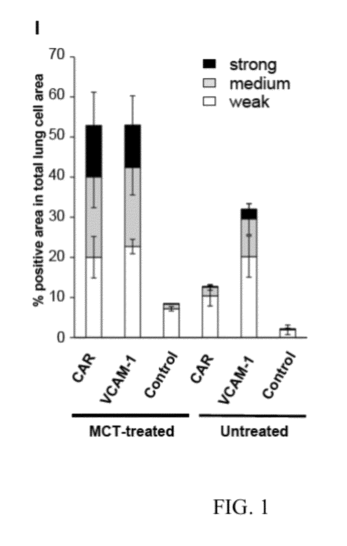 Truncated car peptides and methods and compositions using truncated car peptides