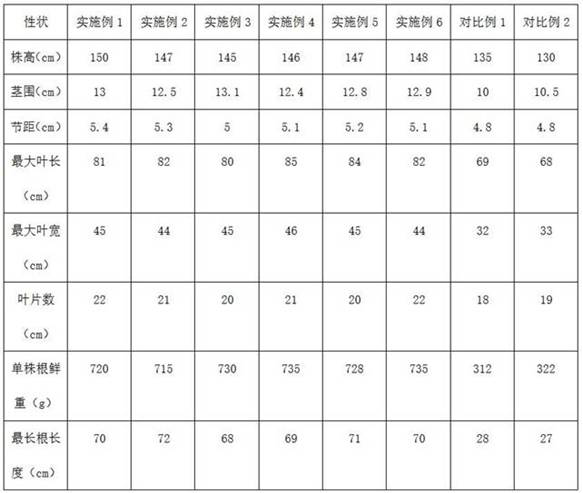 Planting method capable of promoting root development of tobacco plants