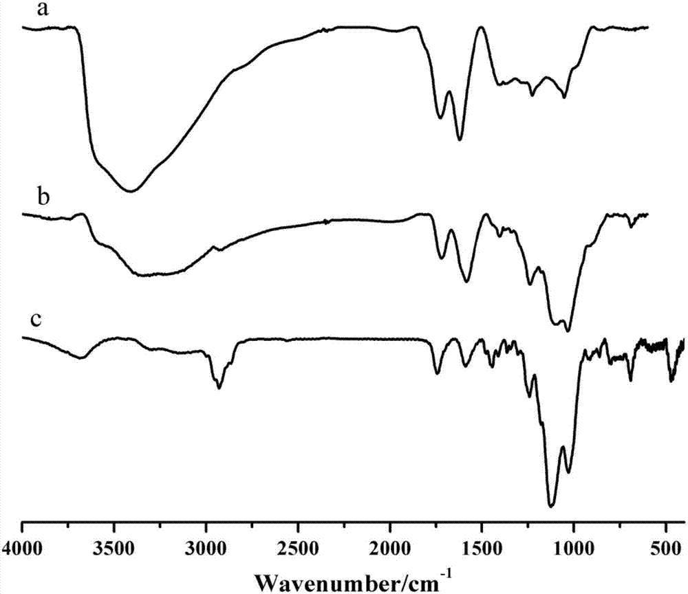 Graphene-based antioxidant and preparation method and application thereof