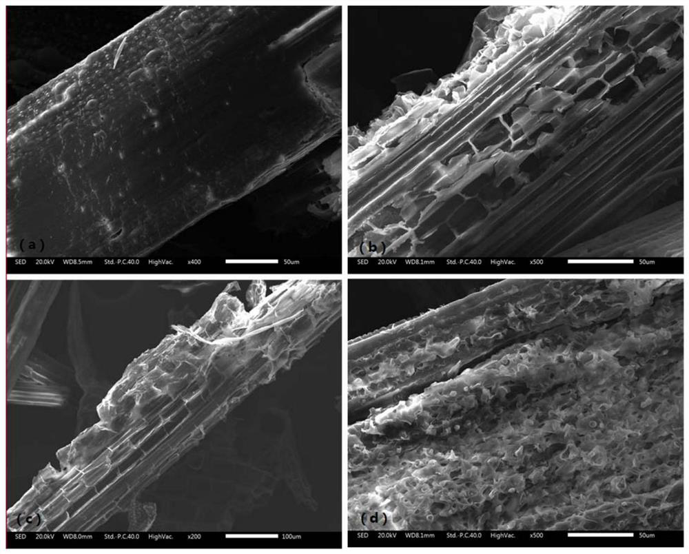 A method of using lignin-degrading bacteria to strengthen the fenton reaction pretreatment of waste biomass