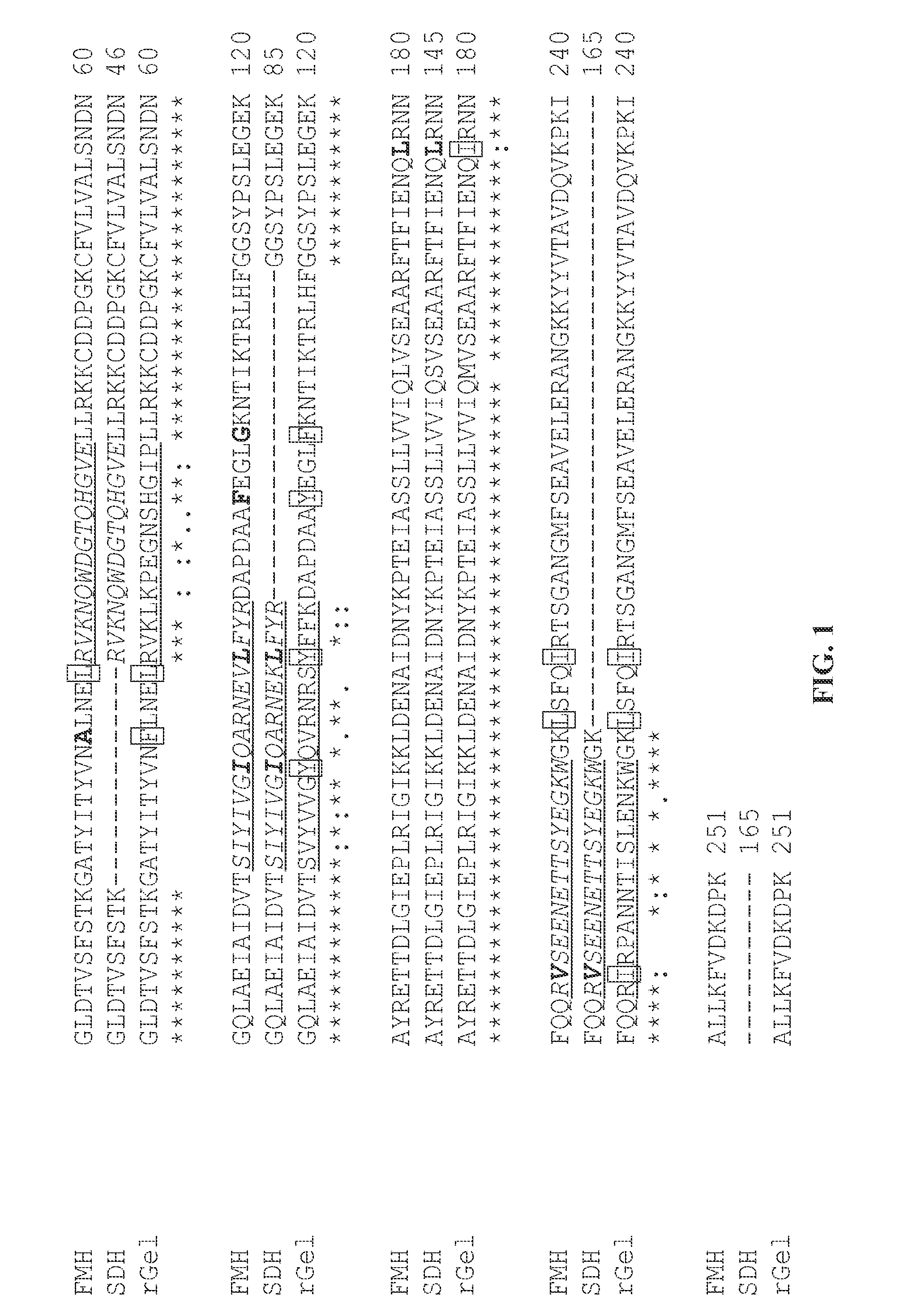 Deimmunized gelonin molecules and therapies