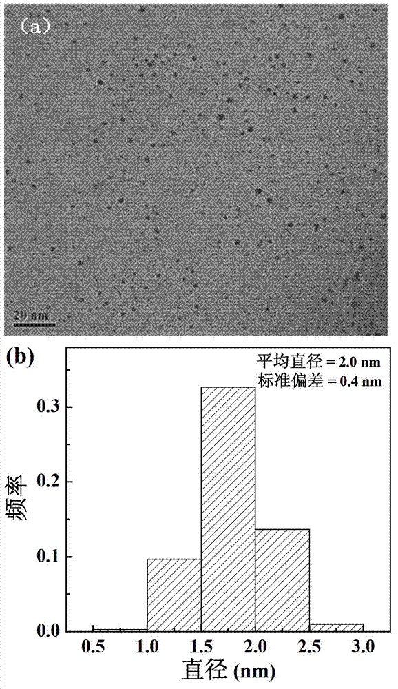 Targeting gene transferring method of folic acid-functionalized PAMAM (polyamidoamine dendrimers) wrapped by gold nanoparticles