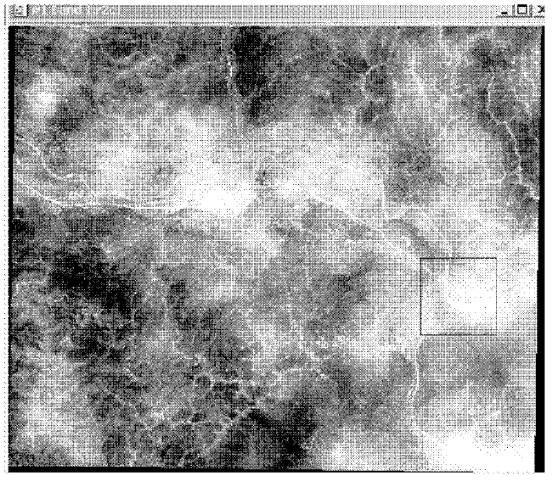 Method for removing thin cloud of remote sensing image