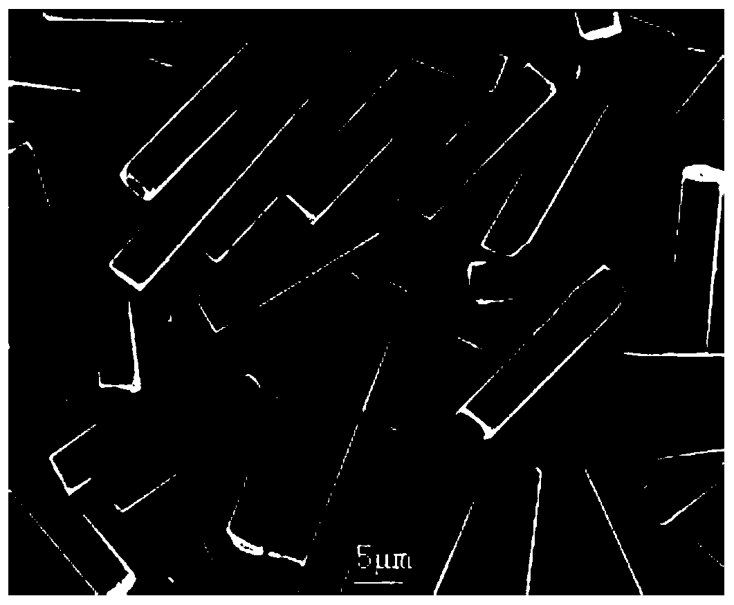 Radiation refrigeration functional coating and application thereof