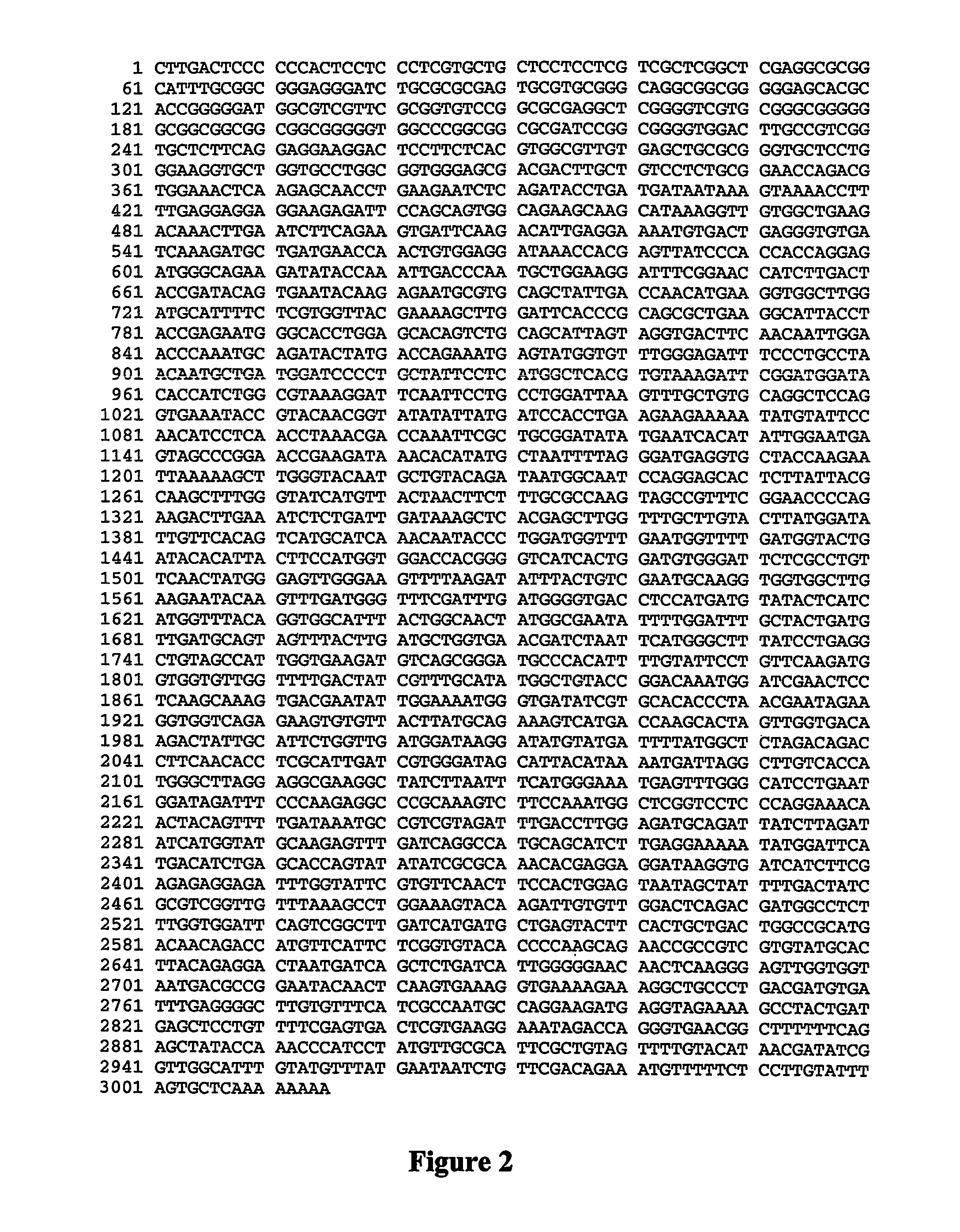 Rice and products thereof having starch with an increased proportion of amylose