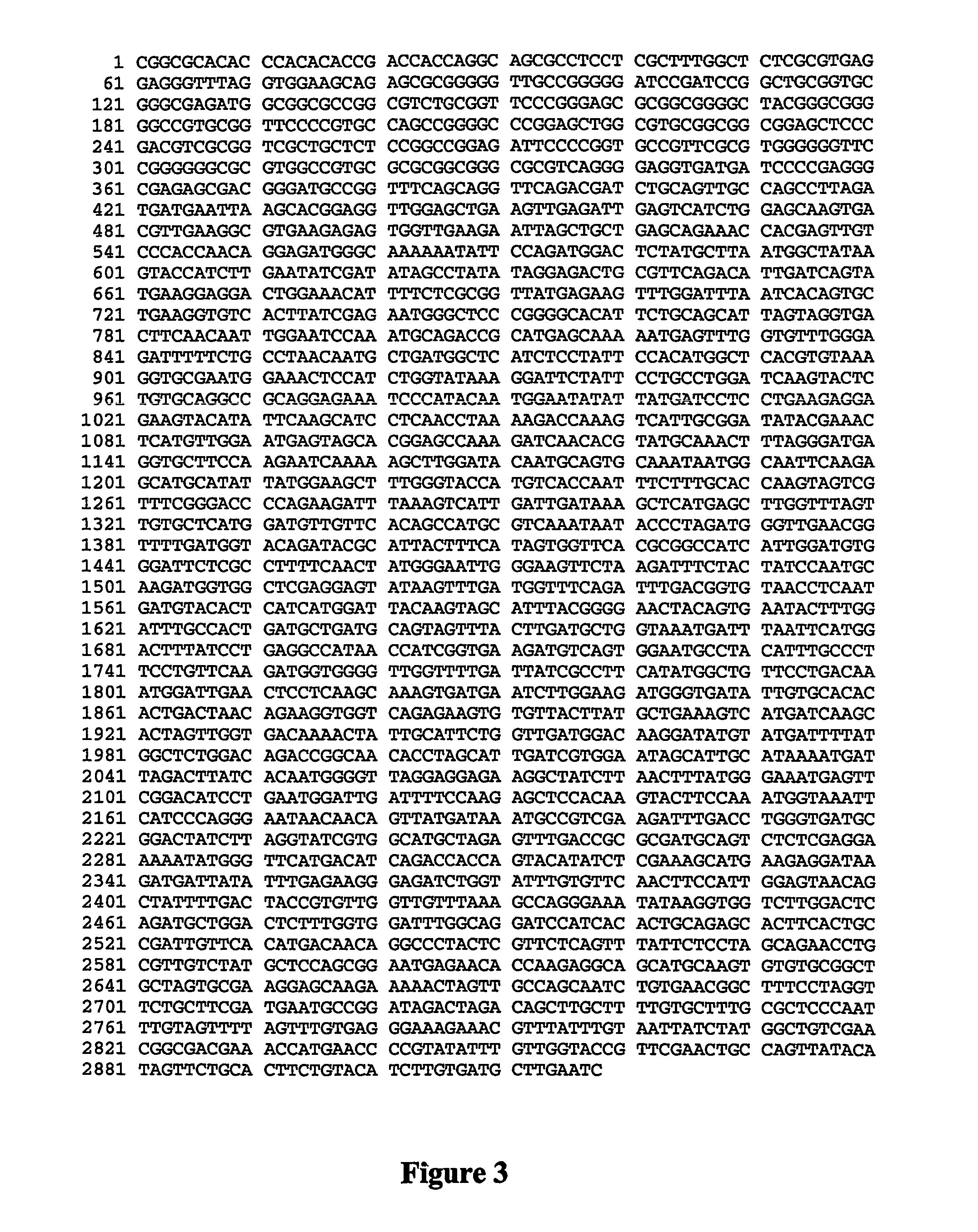 Rice and products thereof having starch with an increased proportion of amylose