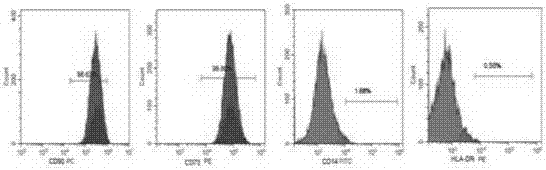 Three-dimensional active complex of dental pulp stem cells for nervous tissue engineering and three-dimensional construction method thereof