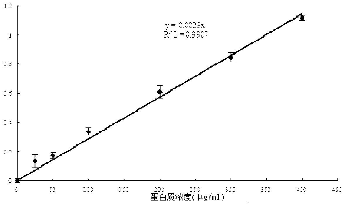 Oudemansiella radicata protein extract and anti-tumor application thereof