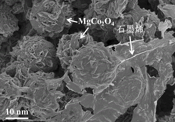 Magnesium-cobalt oxide/graphene composite material used as supercapacitor electrode material and preparation method thereof