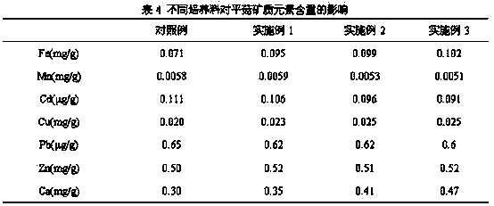 Method for producing oyster mushrooms with high lysine content through purple perilla straw