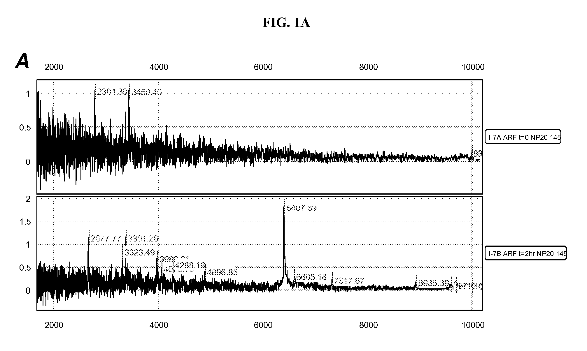 Method for the Early Detection of Renal Disease Using Proteomics