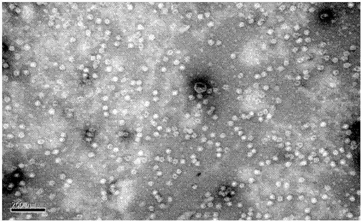 Coxsackie virus A16-type virus strain and applications thereof