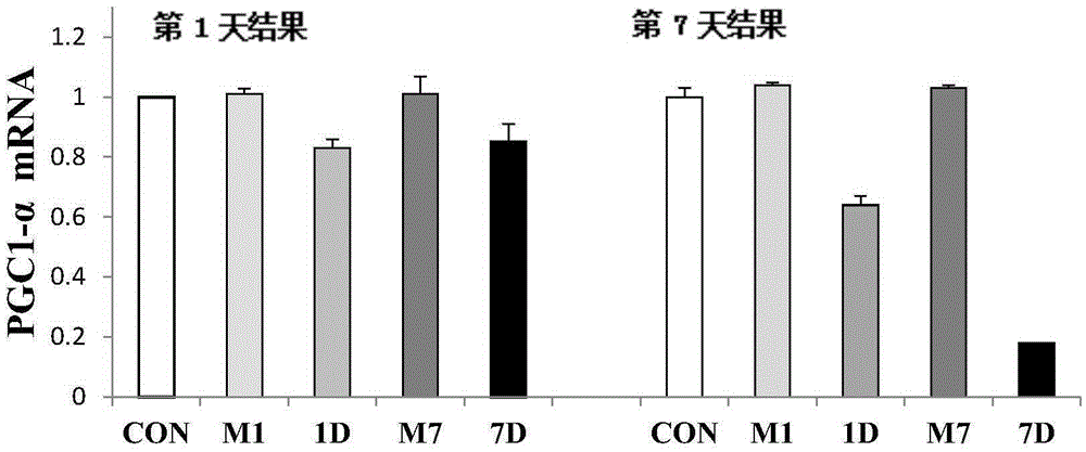 A kind of diabetic retinopathy metabolic memory detection reagent and its application