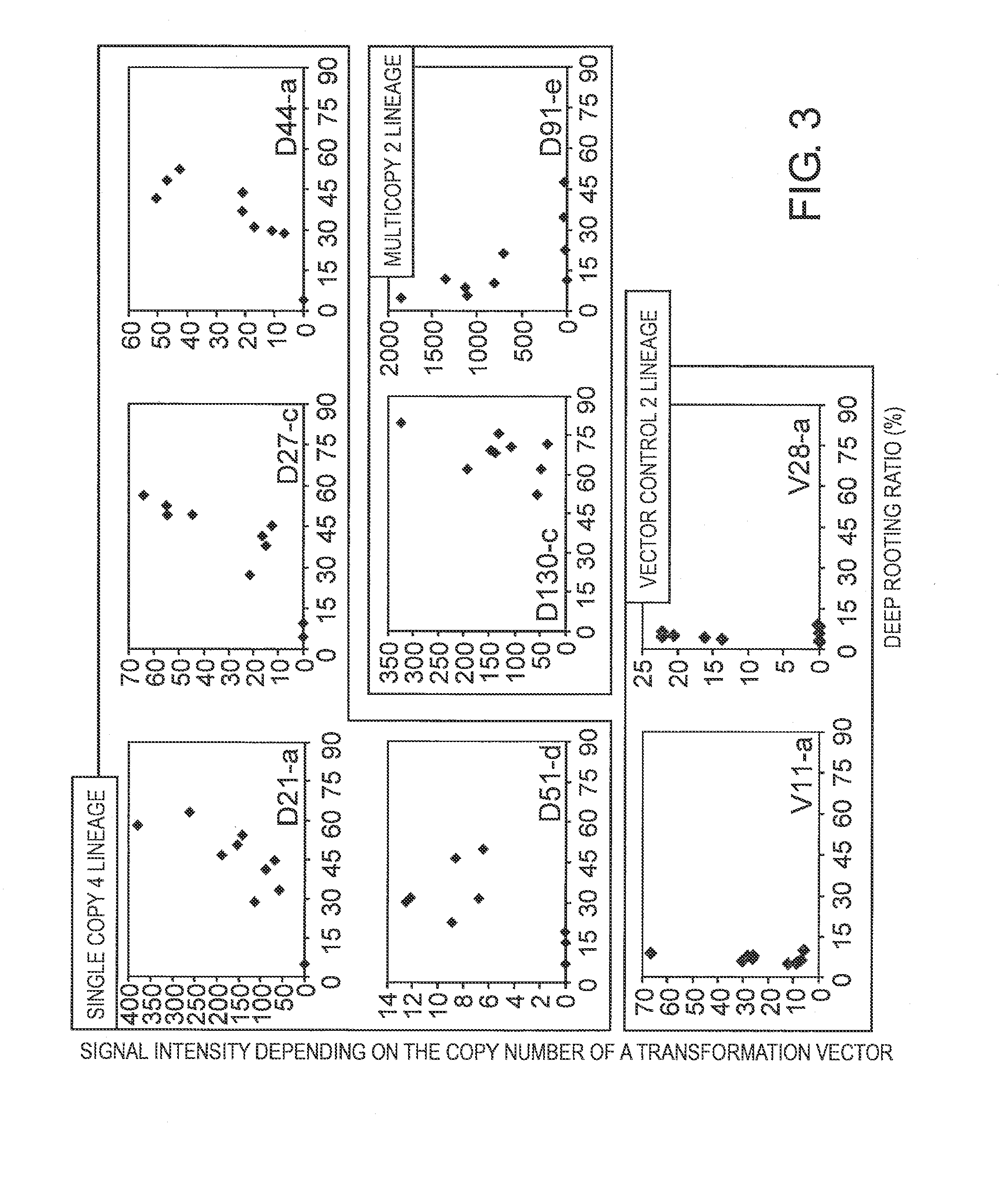 Gene Dro1 Controlling Deep-Rooted Characteristics of Plant and Utilization of Same