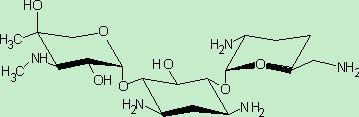 Preparation method of 1-N-ethyl gentamicin C1a sulfate