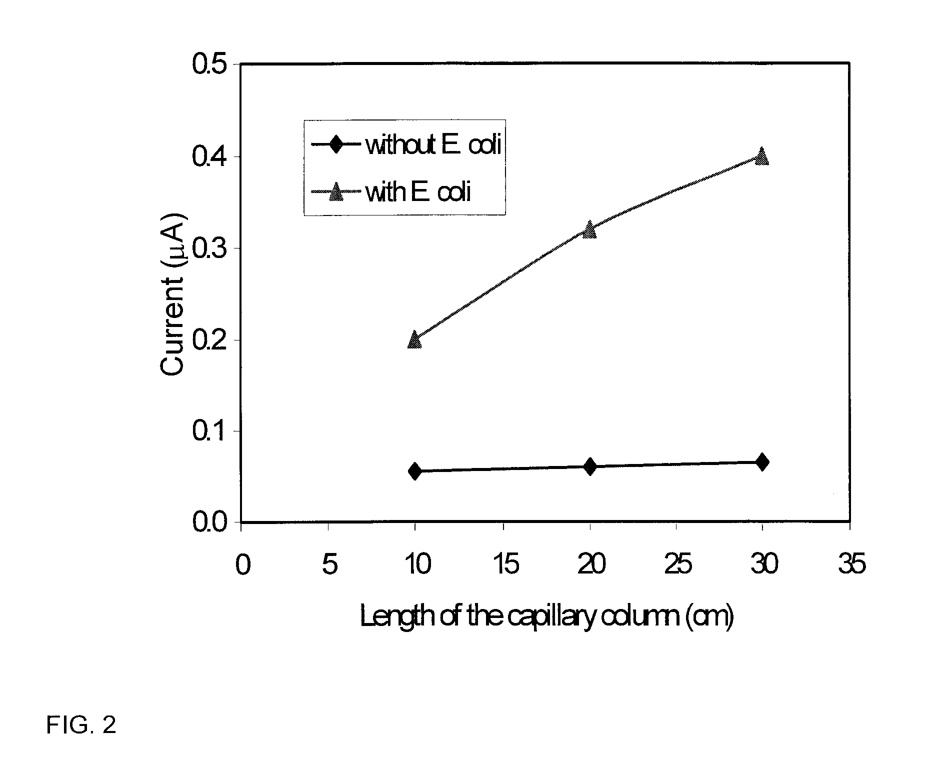 Capillary-column-based bioseparator/bioreactor with an optical/electrochemical detector for detection of microbial pathogens