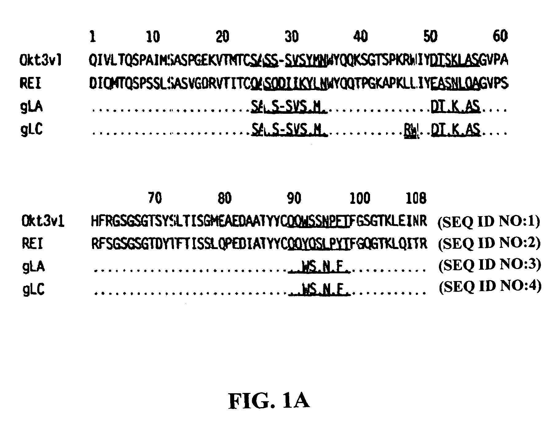 Methods for the treatment of autoimmune disorders using immunosuppressive monoclonal antibodies with reduced toxicity