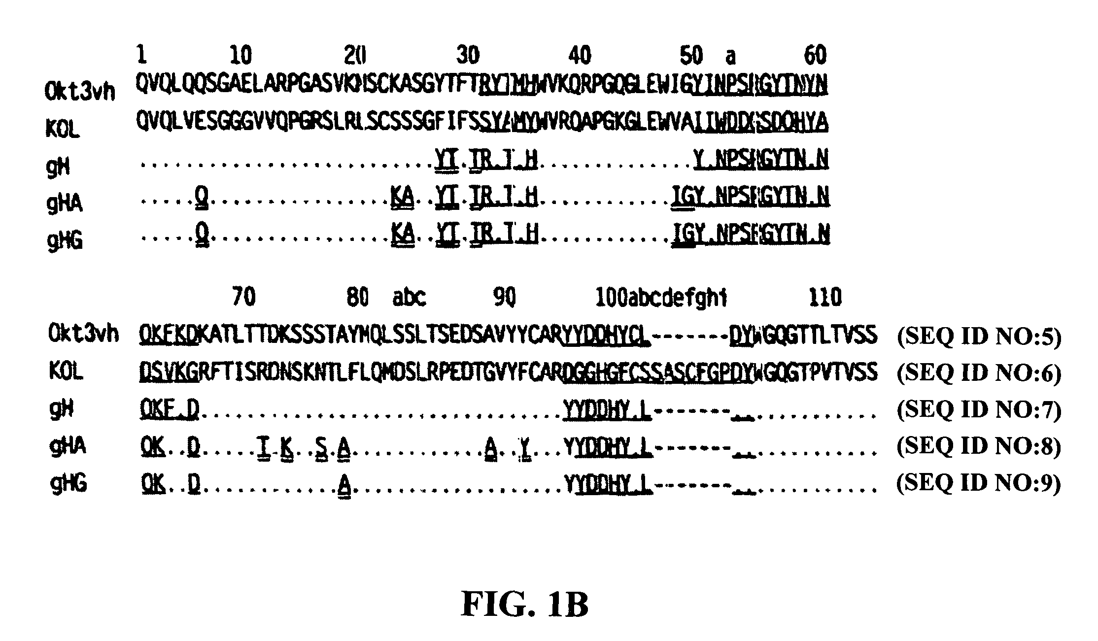 Methods for the treatment of autoimmune disorders using immunosuppressive monoclonal antibodies with reduced toxicity