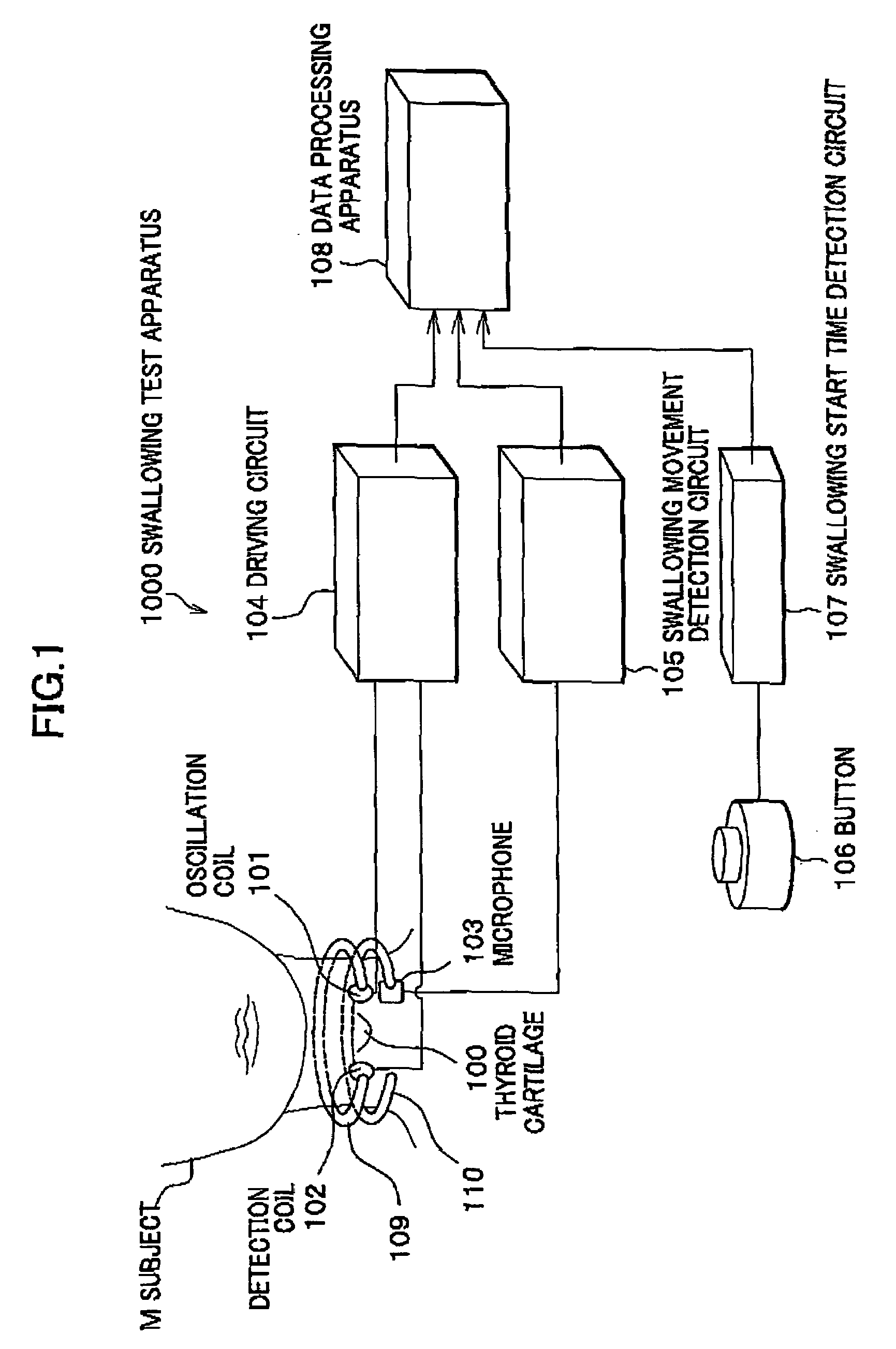 Swallowing test apparatus