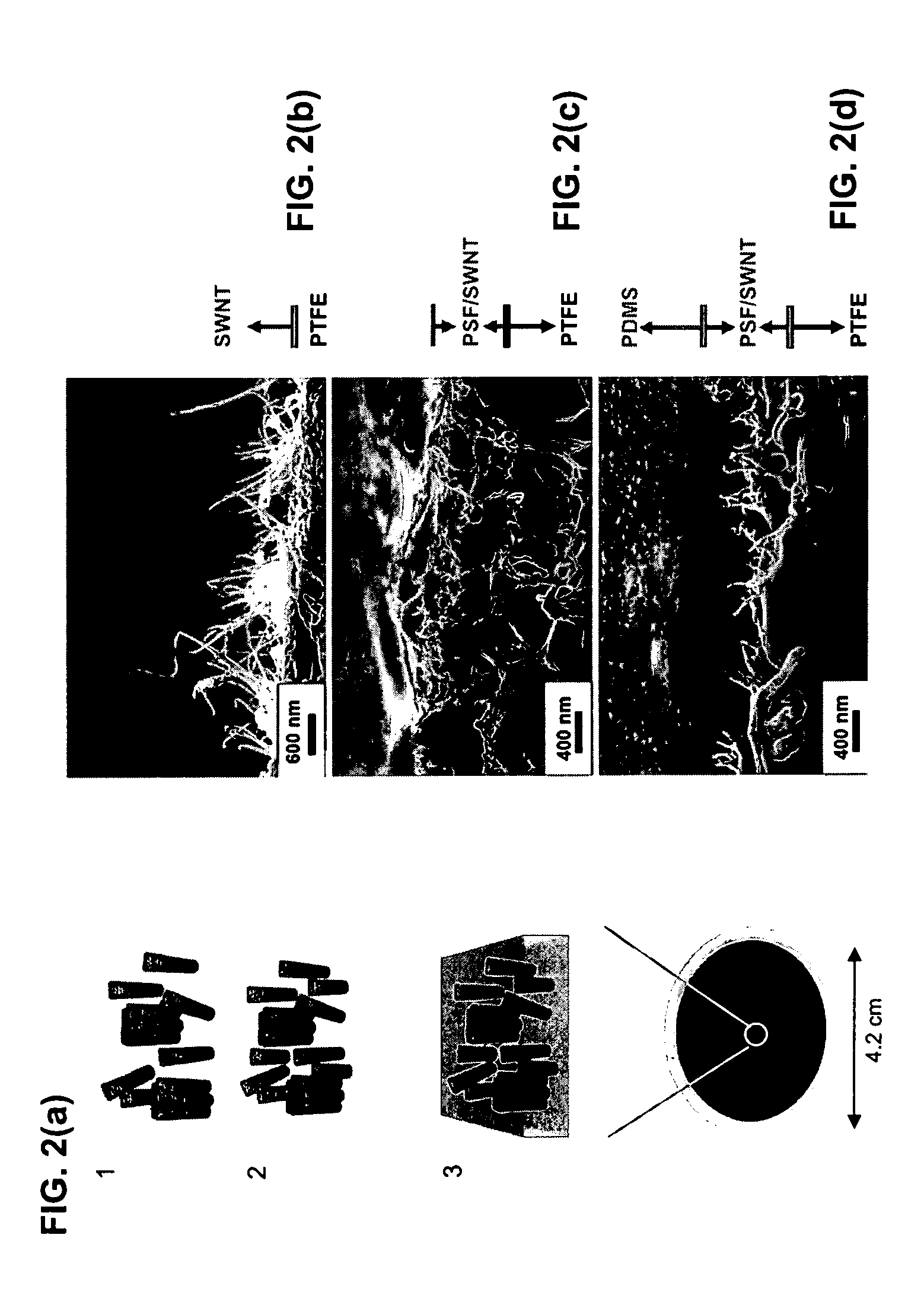 Method for making oriented single-walled carbon nanotube/;polymer nano-composite membranes