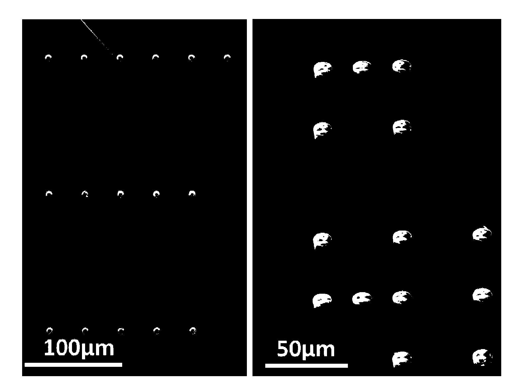 Micro/nano array and application thereof in micro/nano material standard bending strain loading