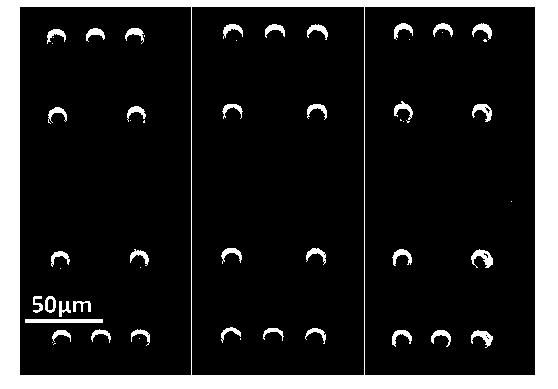 Micro/nano array and application thereof in micro/nano material standard bending strain loading