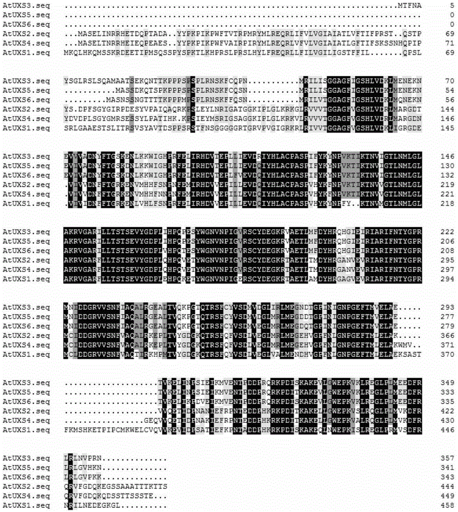 Method for improving plant saccharification efficiency and application of method