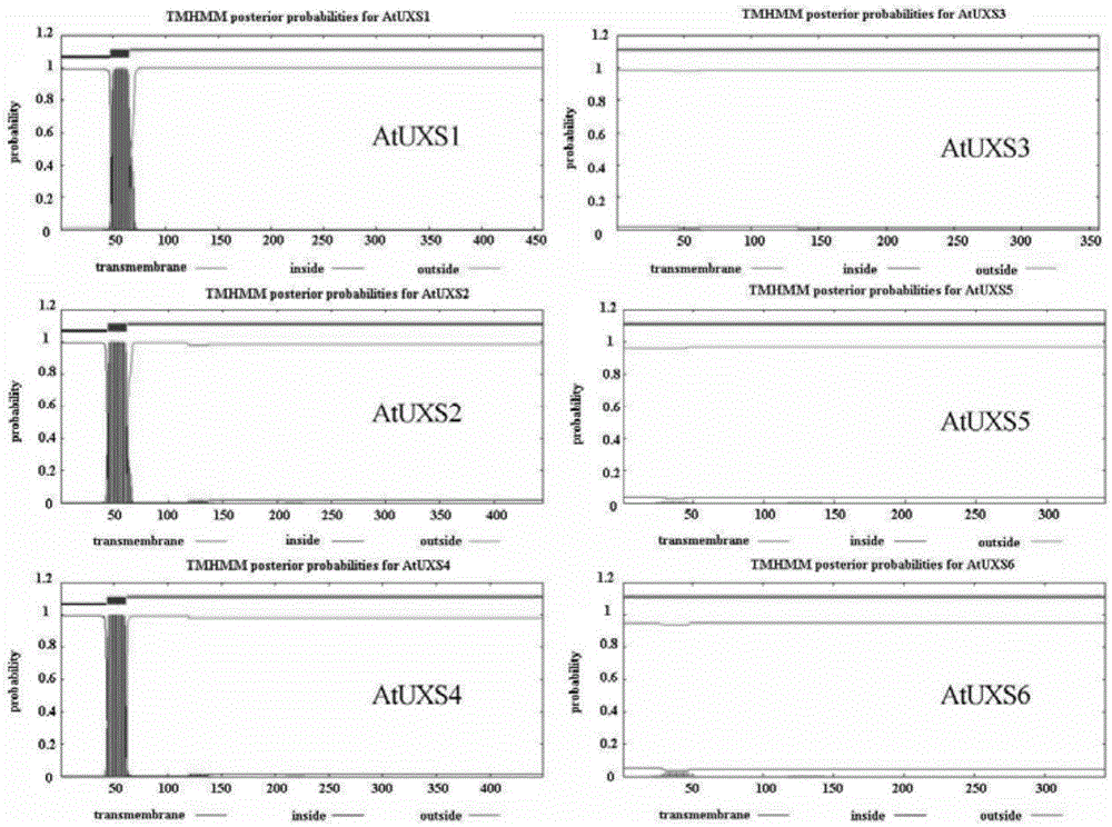 Method for improving plant saccharification efficiency and application of method