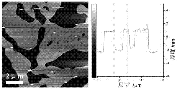 Copolymerization modified graphite-phase carbon nitride nanosheet visible-light-driven photocatalyst