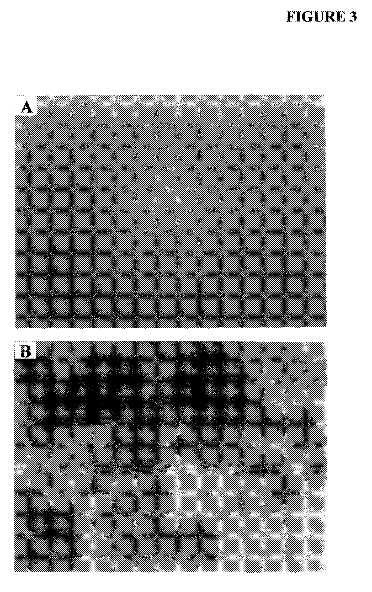 Compounds and compositions to control abnormal cell growth