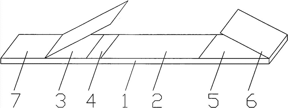 Binary detection test strip of beta-exhilarant ractopamine and salbutamol and preparation method thereof