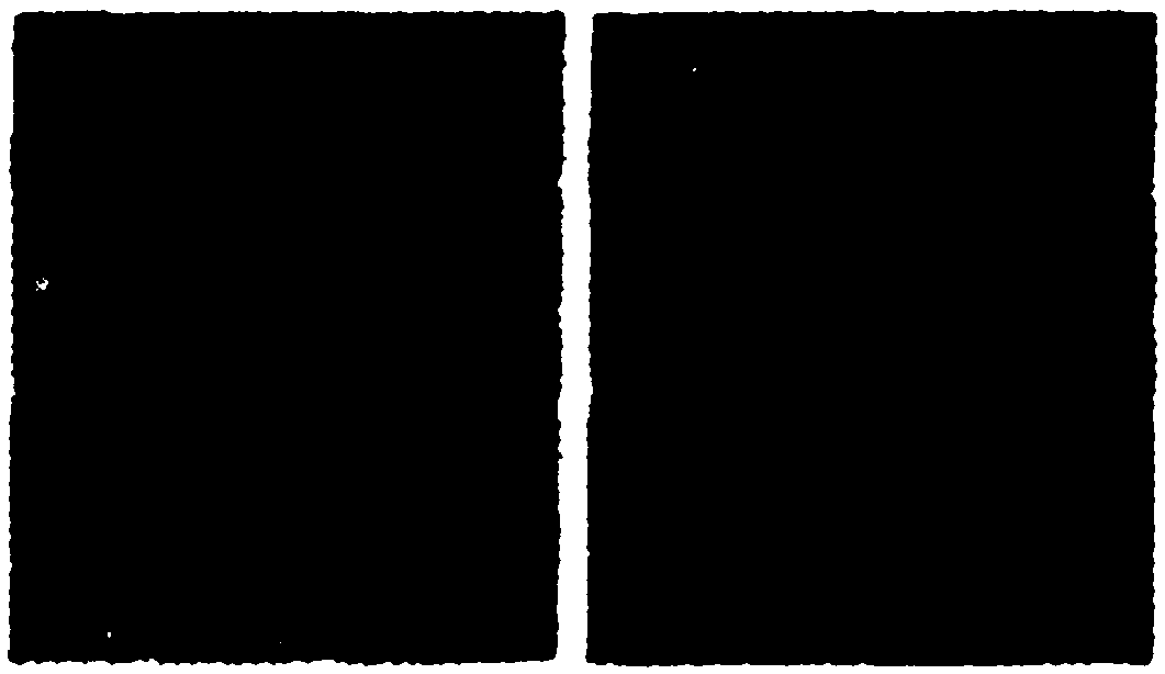 Precipitation measurement method and device based on image identification