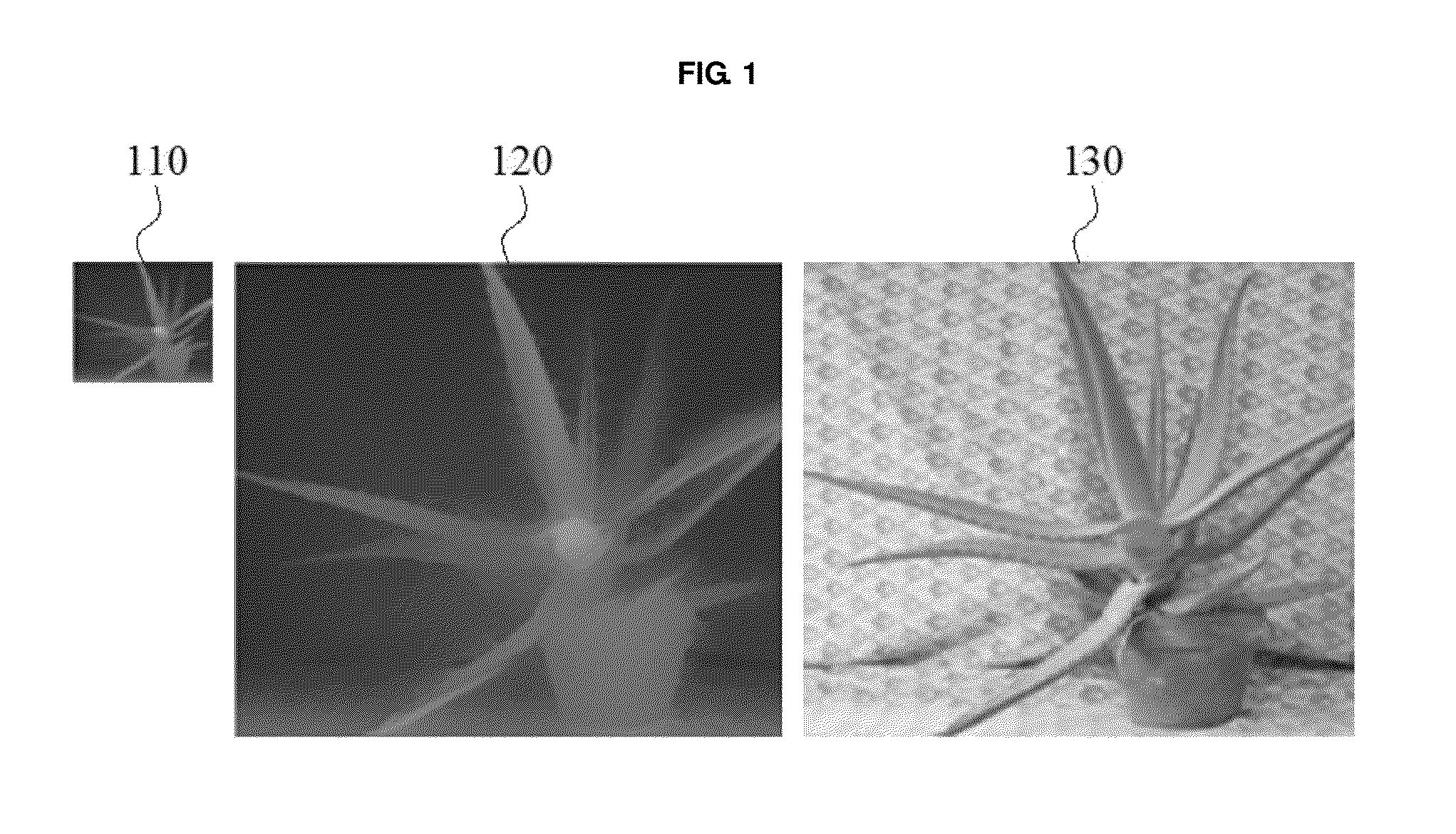 Depth image conversion apparatus and method