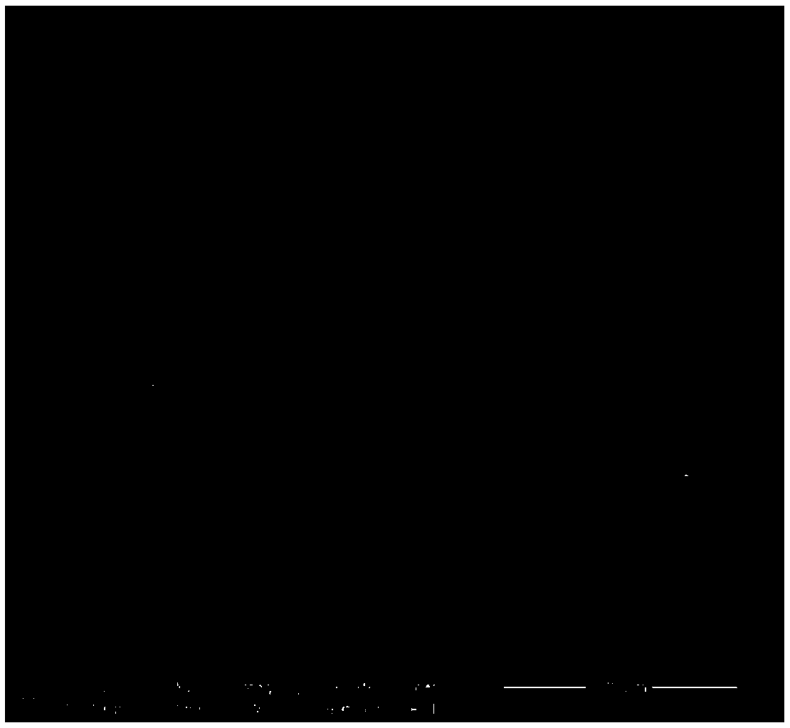 Method for preparing copper alloy additive material based on electron beam powder laying forming